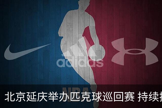 北京延庆举办匹克球巡回赛 持续擦亮户外运动城市名片